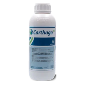 Carthago 600 SC