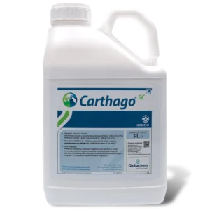 Carthago 600 SC