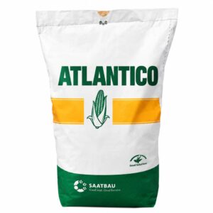Nasiona Kukurydzy ATLANTICO + Opti Plus 80tys. nas.