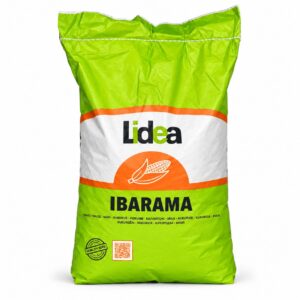 Nasiona Kukurydzy IBARAMA, FAO 230, Lidea 50 tys. nas.