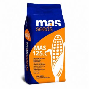 Nasiona Kukurydzy MAS 125.C, FAO 220, Mass Seeds 50 tys. nas.