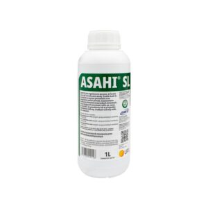 Asahi SL 1l