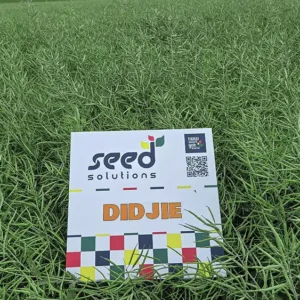 RZEPAK DIDJIE 1,5 mln F1 C1 Integral Pro + Buteo Start SEED SOLUTIONS