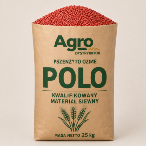 pszenżyto ozime Polo