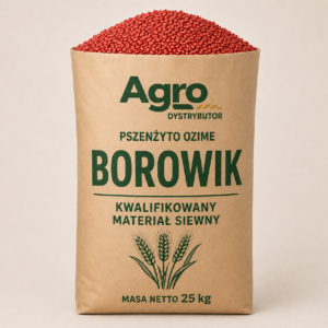 pszenżyto ozime Borowik