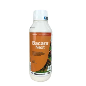 Bacara Next  1L