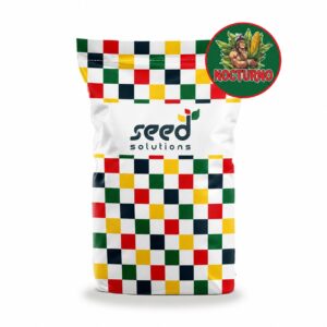 Nasiona Kukurydzy NOCTURNO,FAO 260–270, Seed Solutions, 50 tys. nas.